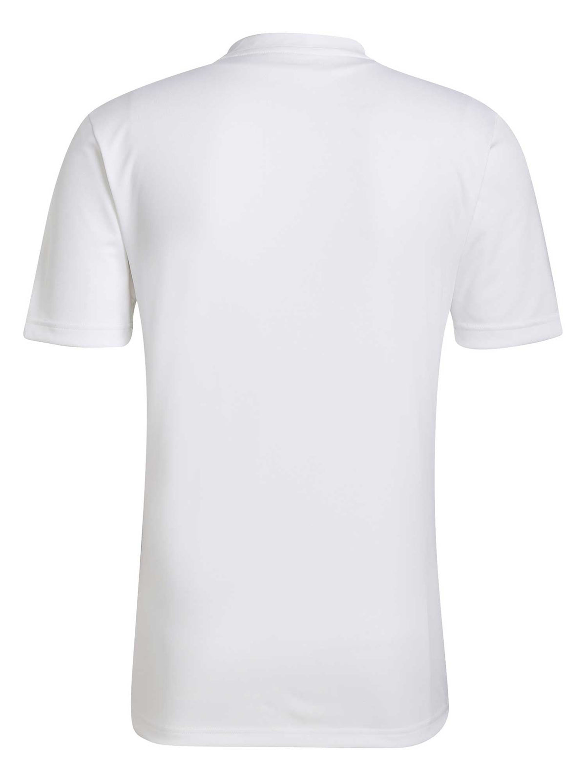 ADIDAS PERFORMANCE Тениска Entrada 22 Graphic Jersey